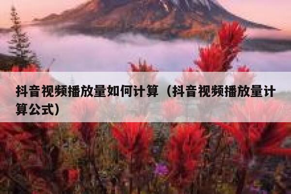 抖音视频播放量如何计算（抖音视频播放量计算公式） 第1张