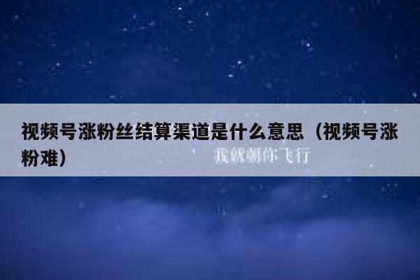 视频号涨粉丝结算渠道是什么意思（视频号涨粉难） 第1张