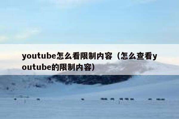 youtube怎么看限制内容（怎么查看youtube的限制内容） 第1张