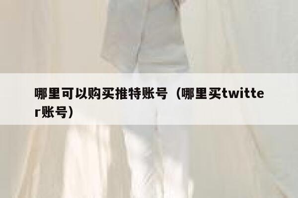 哪里可以购买推特账号（哪里买twitter账号） 第1张