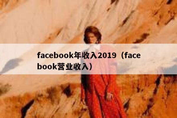 facebook年收入2019（facebook营业收入） 第1张