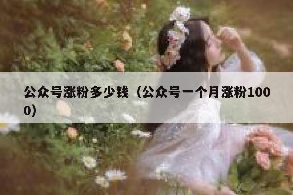 公众号涨粉多少钱（公众号一个月涨粉1000） 第1张