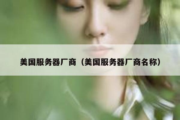 美国服务器厂商（美国服务器厂商名称） 第1张