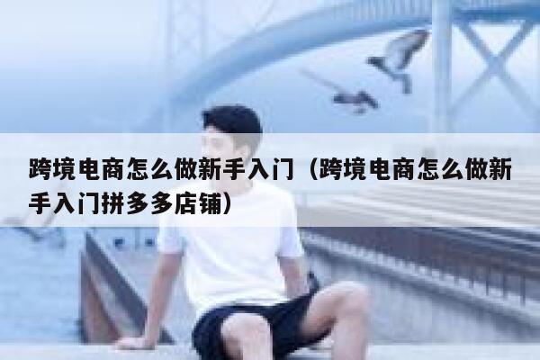 跨境电商怎么做新手入门（跨境电商怎么做新手入门拼多多店铺） 第1张