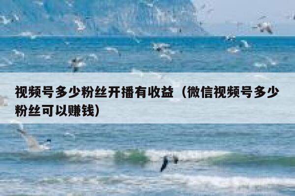 视频号多少粉丝开播有收益（微信视频号多少粉丝可以赚钱） 第1张