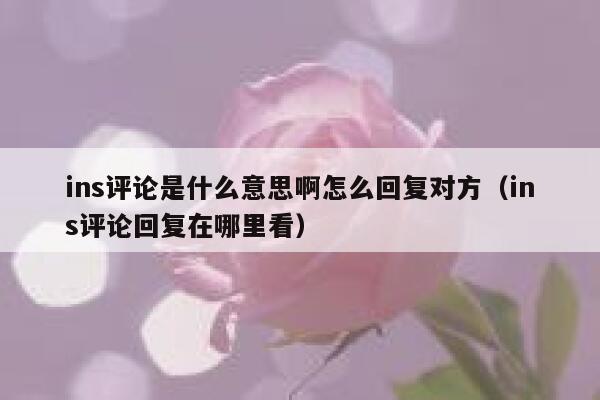 ins评论是什么意思啊怎么回复对方（ins评论回复在哪里看） 第1张