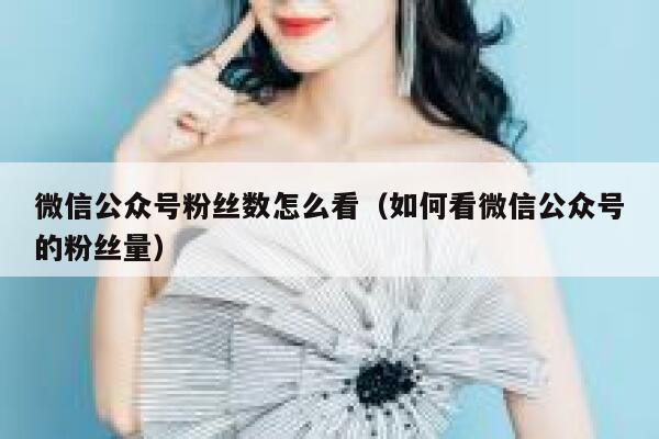 微信公众号粉丝数怎么看（如何看微信公众号的粉丝量） 第1张