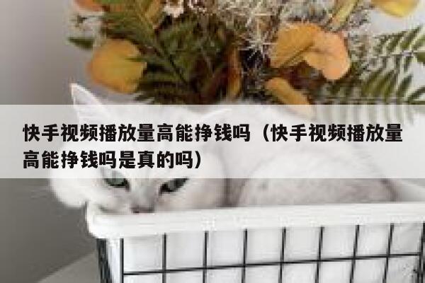 快手视频播放量高能挣钱吗（快手视频播放量高能挣钱吗是真的吗） 第1张