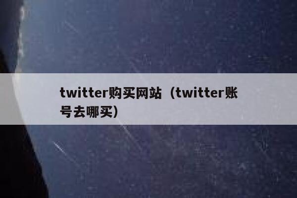 twitter购买网站（twitter账号去哪买） 第1张