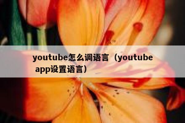 youtube怎么调语言（youtube app设置语言） 第1张