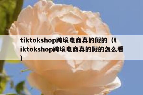tiktokshop跨境电商真的假的（tiktokshop跨境电商真的假的怎么看） 第1张