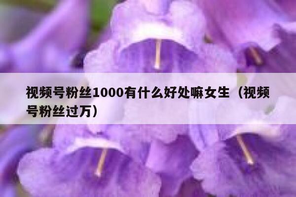 视频号粉丝1000有什么好处嘛女生(视频号粉丝过万) 第1张 视频号粉丝1000有什么好处嘛女生(视频号粉丝过万) 第1张