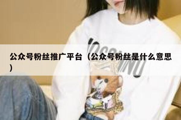 公众号粉丝推广平台（公众号粉丝是什么意思） 第1张