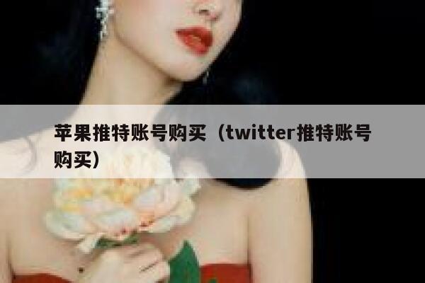 苹果推特账号购买（twitter推特账号购买） 第1张