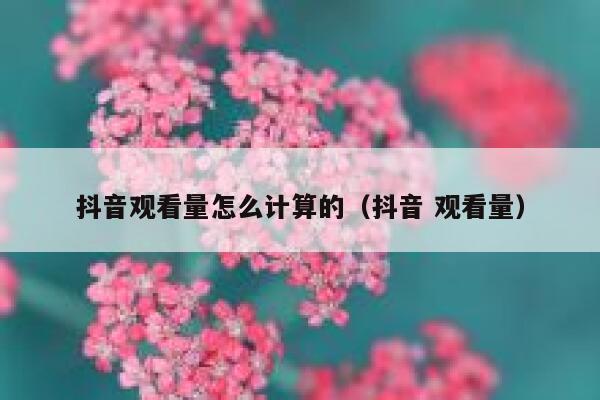抖音观看量怎么计算的（抖音 观看量） 第1张