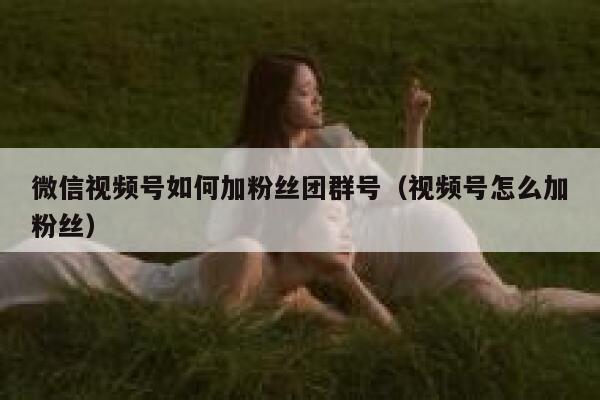 微信视频号如何加粉丝团群号（视频号怎么加粉丝） 第1张