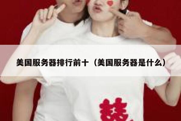 美国服务器排行前十（美国服务器是什么） 第1张