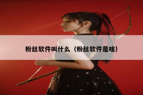 粉丝软件叫什么（粉丝软件是啥） 第1张