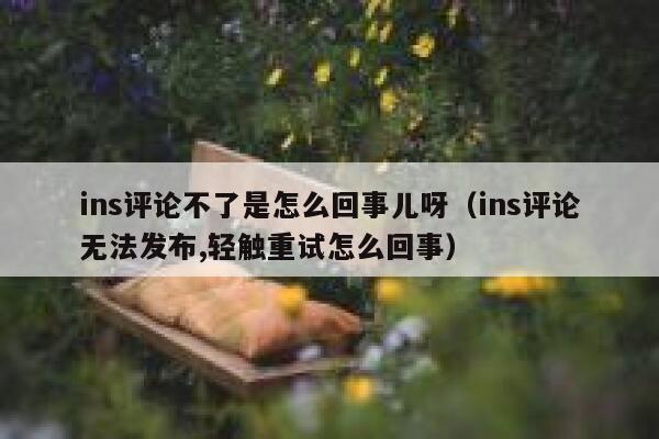 ins评论不了是怎么回事儿呀（ins评论无法发布,轻触重试怎么回事） 第1张