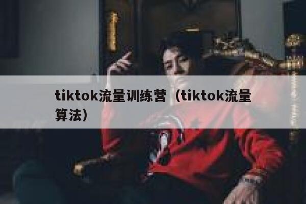 tiktok流量训练营（tiktok流量算法） 第1张