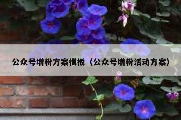 公众号增粉方案模板（公众号增粉活动方案） 第1张