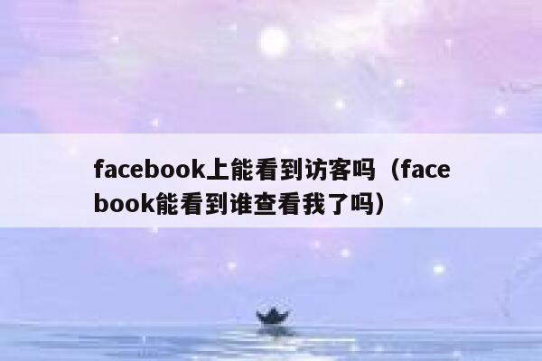 facebook上能看到访客吗（facebook能看到谁查看我了吗） 第1张
