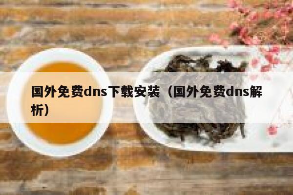 国外免费dns下载安装（国外免费dns解析） 第1张