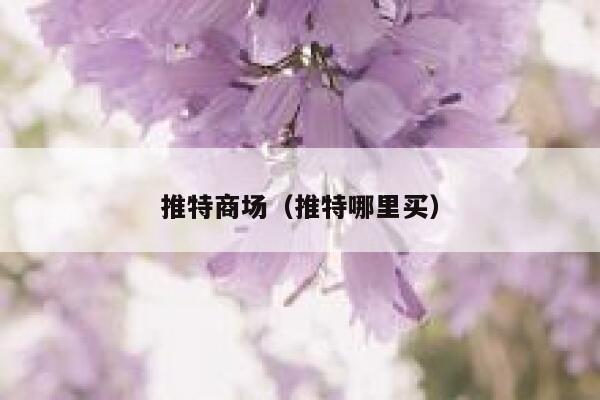 推特商场（推特哪里买） 第1张
