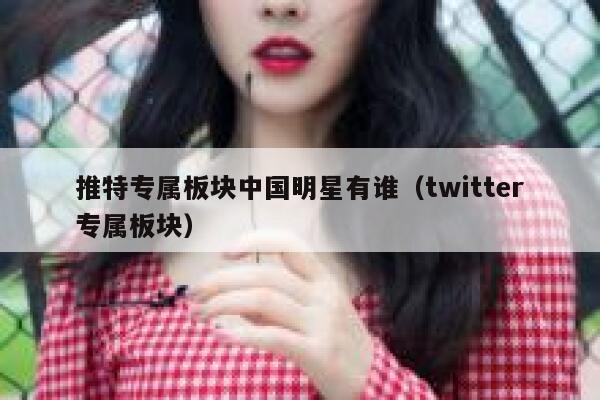 推特专属板块中国明星有谁（twitter专属板块） 第1张
