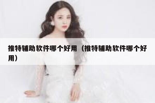 推特辅助软件哪个好用（推特辅助软件哪个好用） 第1张