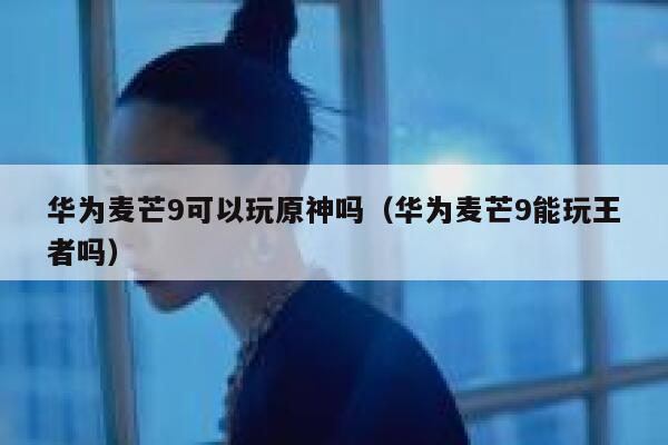 华为麦芒9可以玩原神吗（华为麦芒9能玩王者吗） 第1张