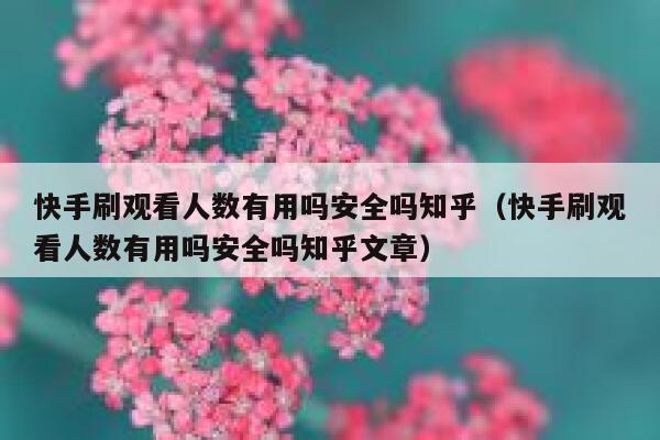 快手刷观看人数有用吗安全吗知乎（快手刷观看人数有用吗安全吗知乎文章） 第1张