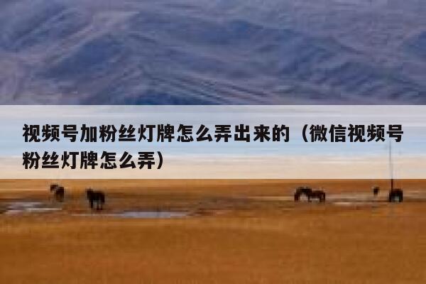视频号加粉丝灯牌怎么弄出来的（微信视频号粉丝灯牌怎么弄） 第1张