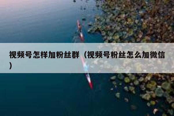 视频号怎样加粉丝群（视频号粉丝怎么加微信） 第1张