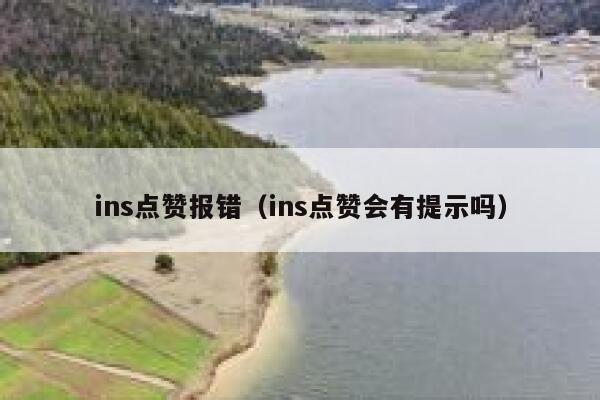 ins点赞报错（ins点赞会有提示吗） 第1张