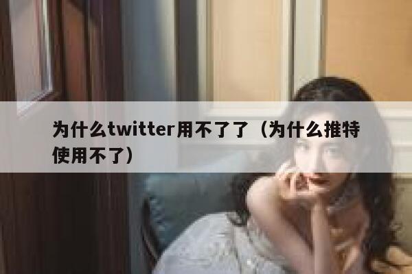为什么twitter用不了了（为什么推特使用不了） 第1张