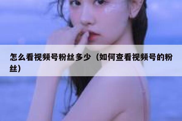 怎么看视频号粉丝多少(如何查看视频号的粉丝) 第1张 怎么看视频号粉丝多少(如何查看视频号的粉丝) 第1张