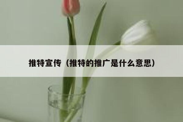 推特宣传（推特的推广是什么意思） 第1张