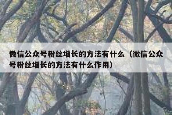 微信公众号粉丝增长的方法有什么(微信公众号粉丝增长的方法有什么作用) 第1张 微信公众号粉丝增长的方法有什么(微信公众号粉丝增长的方法有什么作用) 第1张
