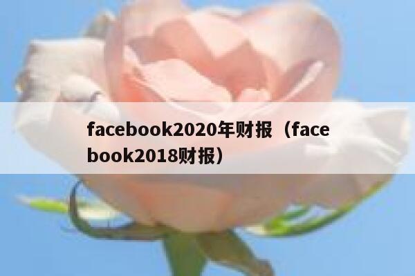 facebook2020年财报(facebook2018财报) 第1张 facebook2020年财报(facebook2018财报) 第1张