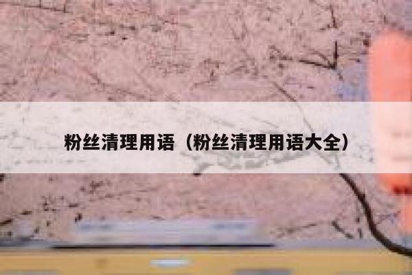 粉丝清理用语（粉丝清理用语大全） 第1张