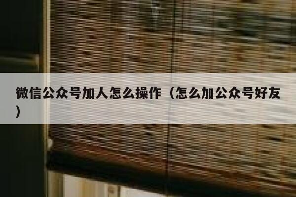 微信公众号加人怎么操作（怎么加公众号好友） 第1张