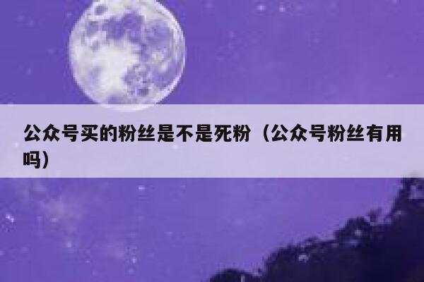 公众号买的粉丝是不是死粉(公众号粉丝有用吗) 第1张 公众号买的粉丝是不是死粉(公众号粉丝有用吗) 第1张