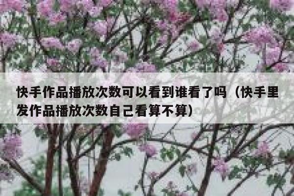 快手作品播放次数可以看到谁看了吗（快手里发作品播放次数自己看算不算） 第1张