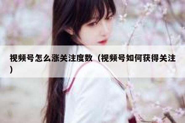 视频号怎么涨关注度数(视频号如何获得关注) 第1张 视频号怎么涨关注度数(视频号如何获得关注) 第1张