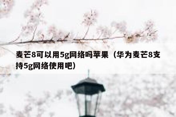 麦芒8可以用5g网络吗苹果（华为麦芒8支持5g网络使用吧） 第1张
