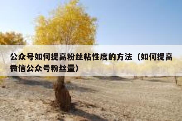 公众号如何提高粉丝粘性度的方法(如何提高微信公众号粉丝量) 第1张 公众号如何提高粉丝粘性度的方法(如何提高微信公众号粉丝量) 第1张