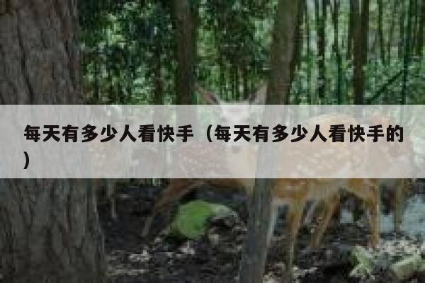每天有多少人看快手（每天有多少人看快手的） 第1张