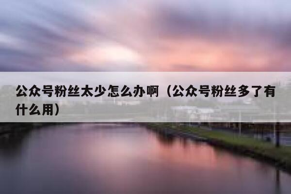 公众号粉丝太少怎么办啊（公众号粉丝多了有什么用） 第1张