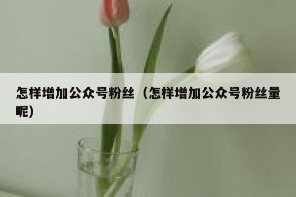 怎样增加公众号粉丝（怎样增加公众号粉丝量呢） 第1张
